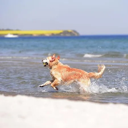 Seestern Whg 2 27 Boltenhagen (Ostseebad)